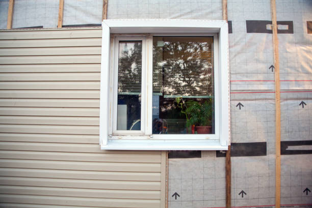 Affordable Siding Repair and Maintenance Services in Glen Ellyn, IL